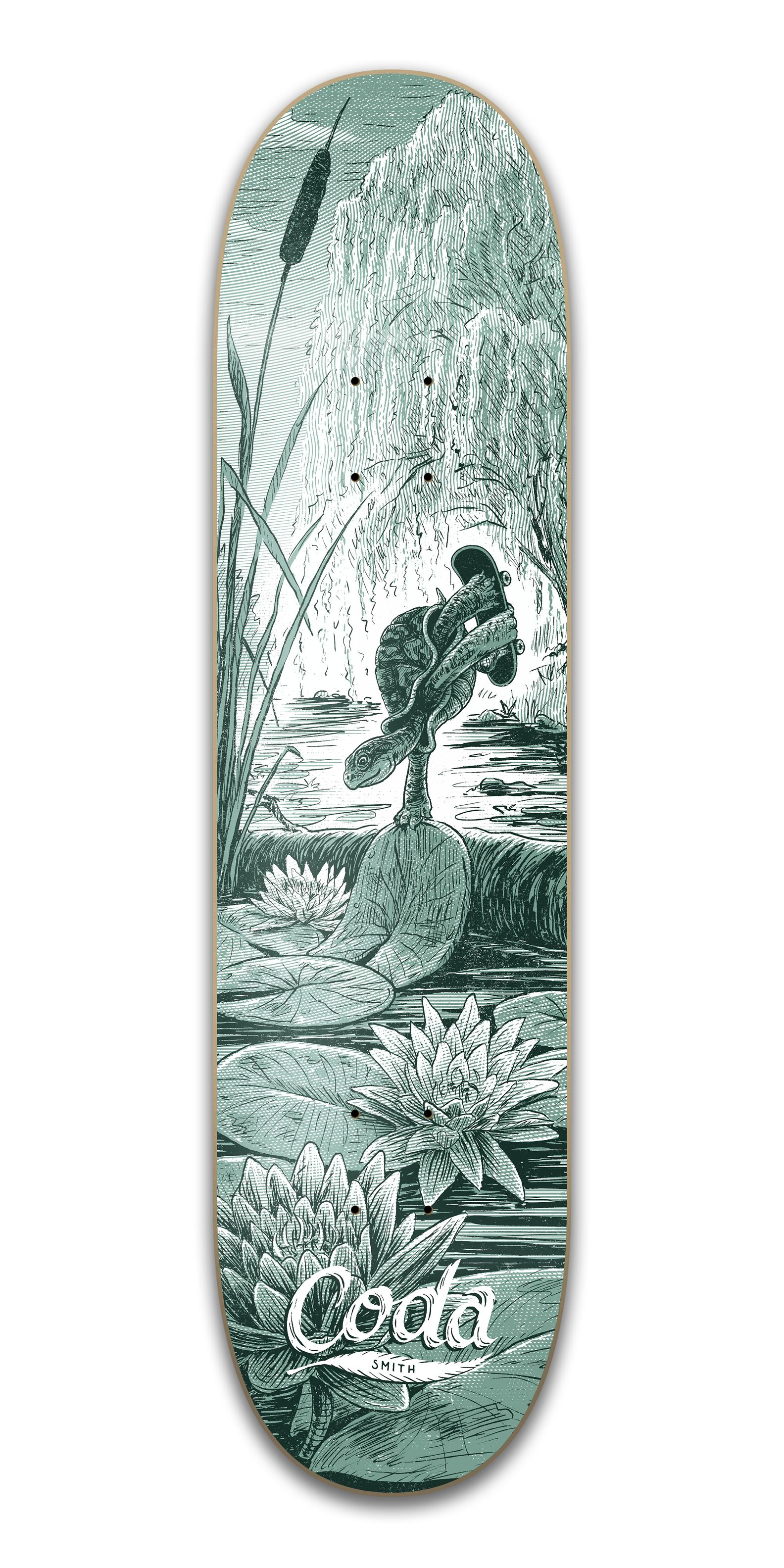 Pat Smith - Turtle - 8.500